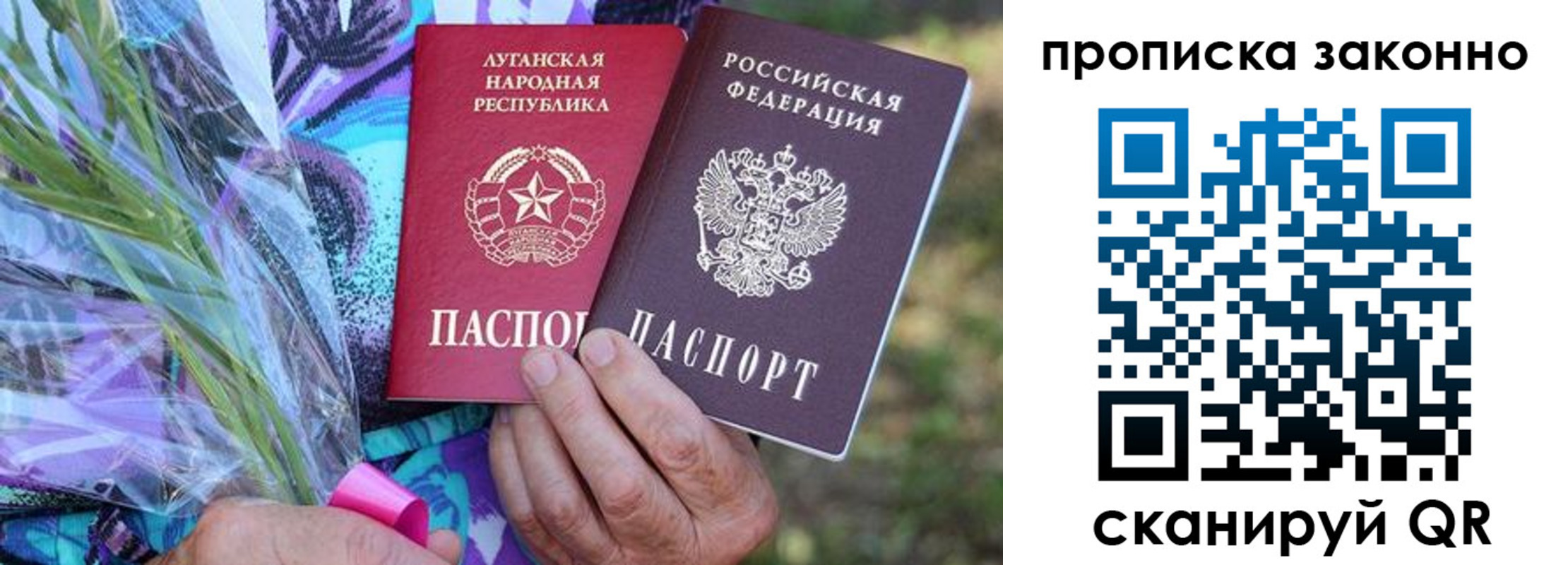прописка для школы в Скопине